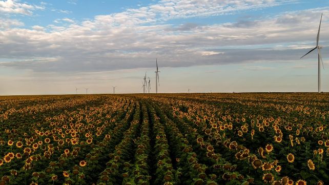 Amazon supera los 1,55 GW de capacidad renovable en Espana con dos nuevas plantas solares en Castilla y Leon y un nuevo techo solar en Cataluna