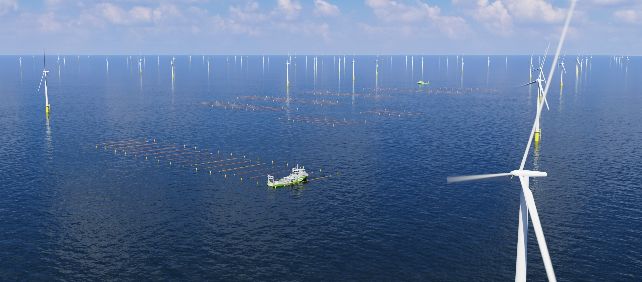 Amazon financia la primera granja de algas marinas a escala comercial del mundo ubicada entre turbinas eolicas