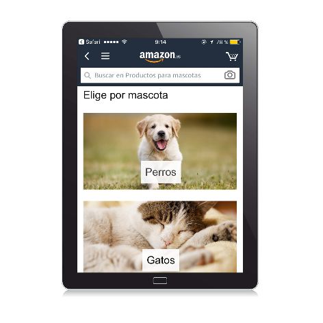 Tablet-Amazon-vertical